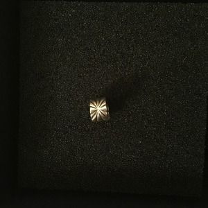 Authentic Pandora clip