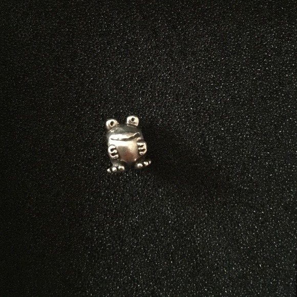 Authentic Pandora charm