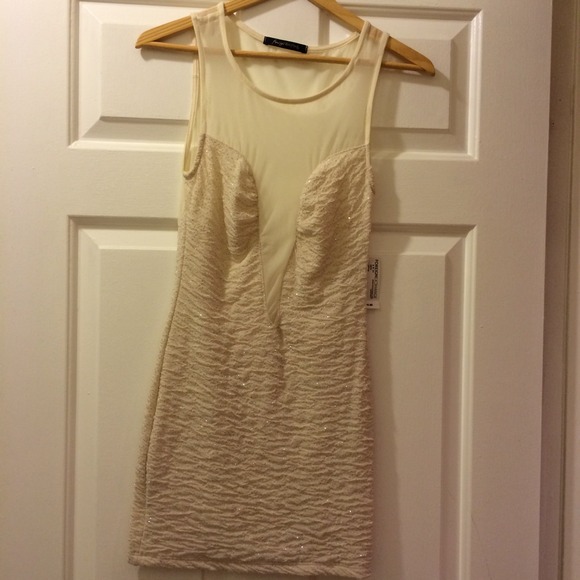 Foreign Exchange Shimmery Dress Sheer
