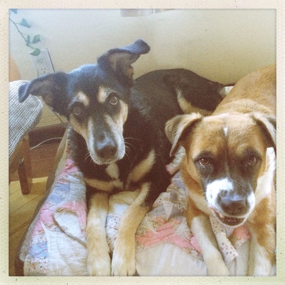 Meet Your Seller/Buyer - Picture 3 of 4