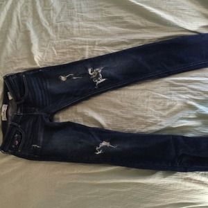 Hollister skinny