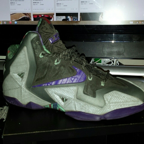 Mens Lebron 11 size 9