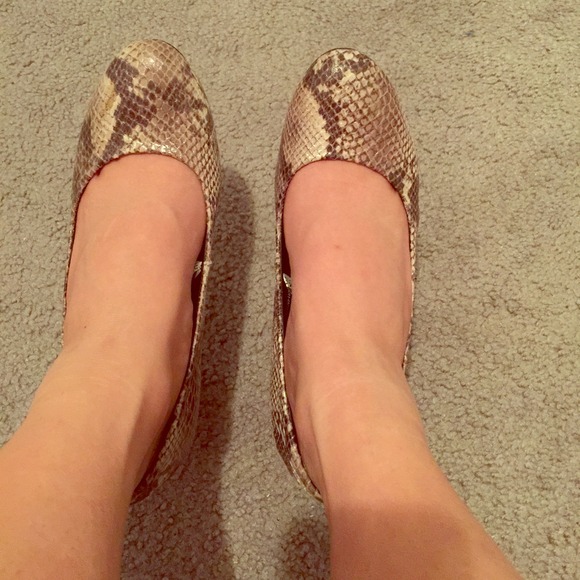 Snakeskin pumps! Worn only once...
