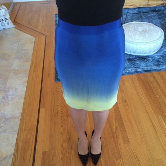Jay Godfrey Ombré Skirt - Picture 2 of 4