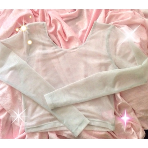 ☁️💕White Mesh Long Sleeve Crop Top💕☁️