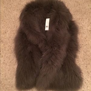 Theory silver fox fur vest . Never been worn.