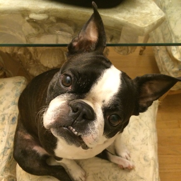 Meet Your Seller. - Picture 2 of 4