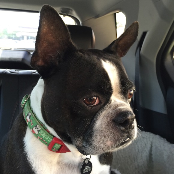 Meet Your Seller. - Picture 3 of 4