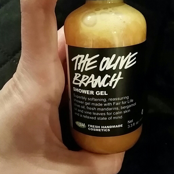Lush Accessories - NWT Lush shower gel