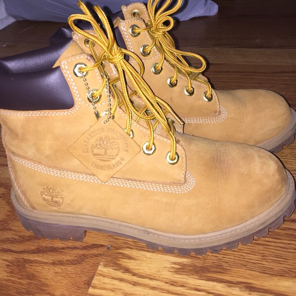 Original timberlands (wheat)