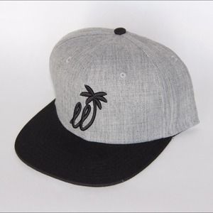 Grey/ Black SnapBack