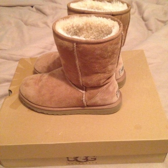 Short chestnut uggs SOLD**********