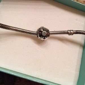 Pandora charm