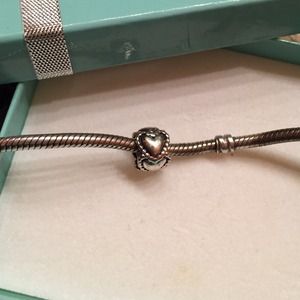 SOLD-Pandora charm
