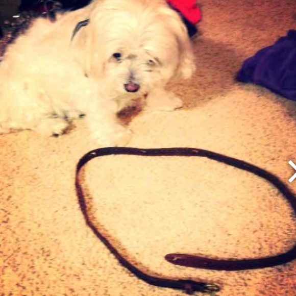 Hollister thin leather belt