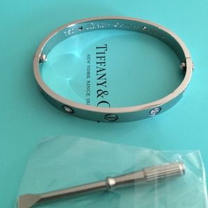 Silver Love Screw Bracelet with screwdriver