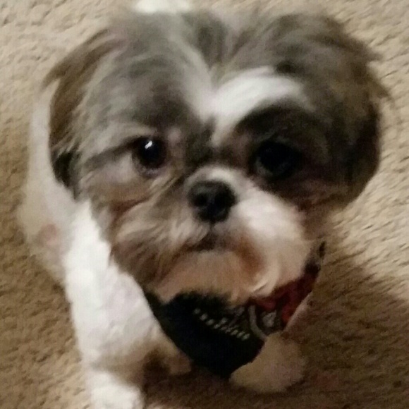 Meet you seller! - Picture 3 of 3