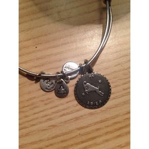 Aries Alex and Ani