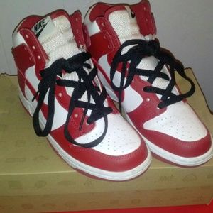 Air Nike Dunks HG