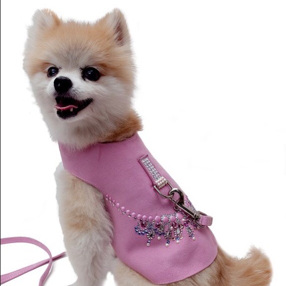 Barkinista custom dog couture