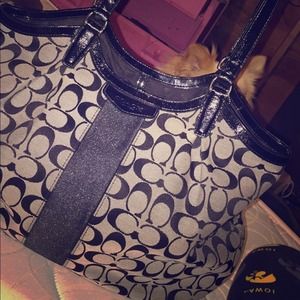 Black and grey coach purse