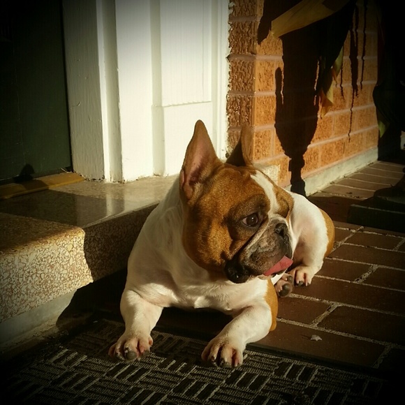 SMILES! - Picture 2 of 8