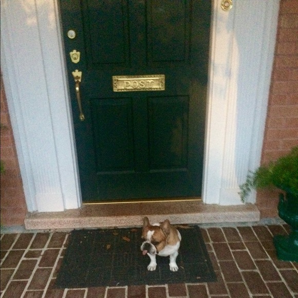 SMILES! - Picture 7 of 8