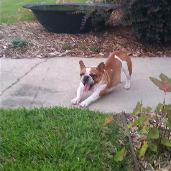 SMILES! - Picture 3 of 8