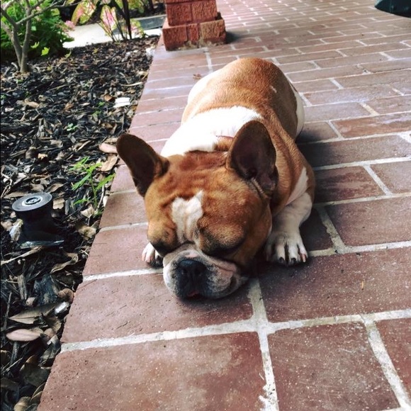 SMILES! - Picture 6 of 8