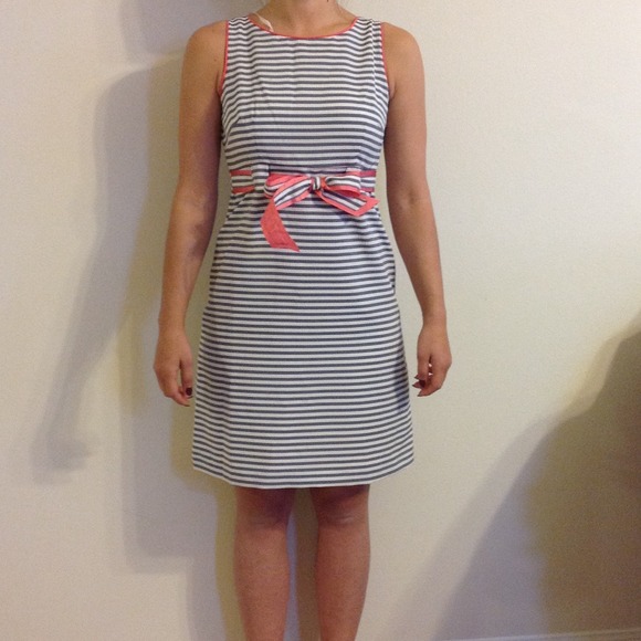 Blue and white striped dress nwot
