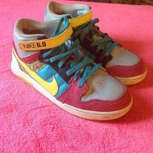 Nike Sb's 6.0