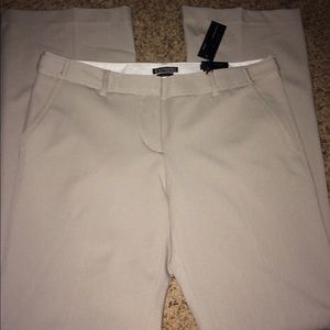 Express Columnist Pant