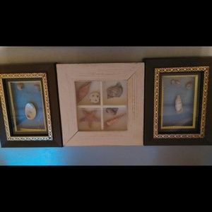 Ocean shell frames