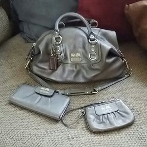 Coach Ashley Metallic/ Brass/Steel Purse