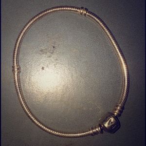 Brand new pandora bracelet!