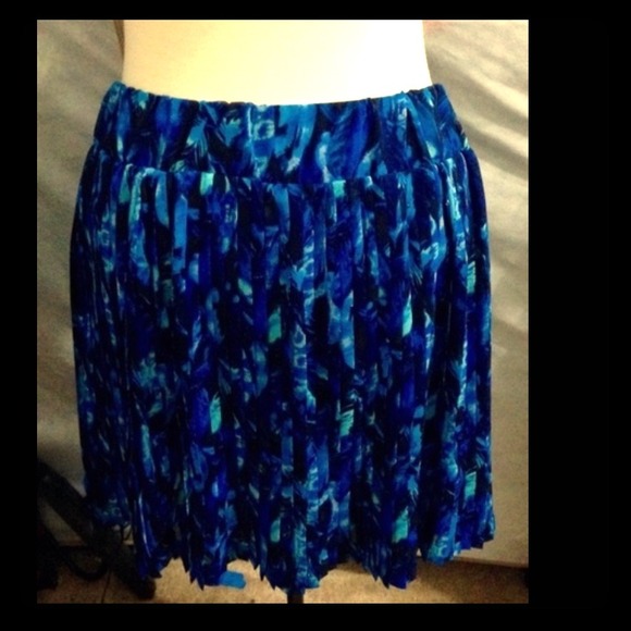 Pleated Skirt