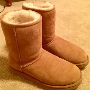 Chestnut Uggs