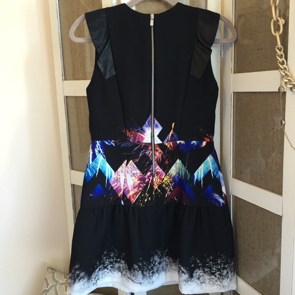 Sandro Dropwaist Dress - Picture 4 of 4