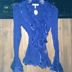 NWT Sheer blue blouse with ruffle front