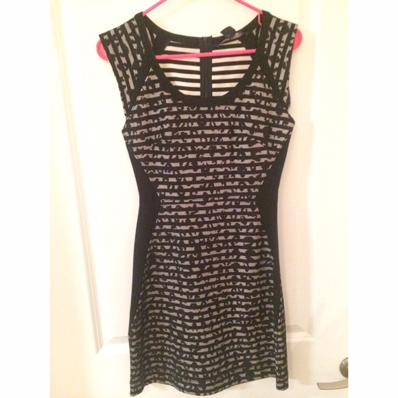 French Connection Lace Leopard Dress