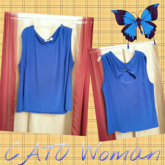 Blue Sleeveless V-neck top