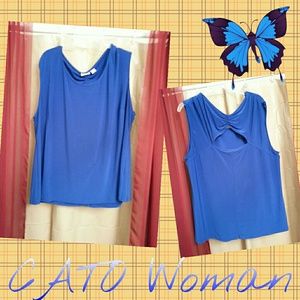 Blue Sleeveless V-neck top