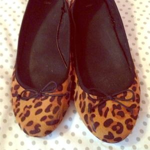 Cheetah flats