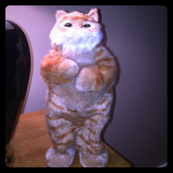 CAT!!
