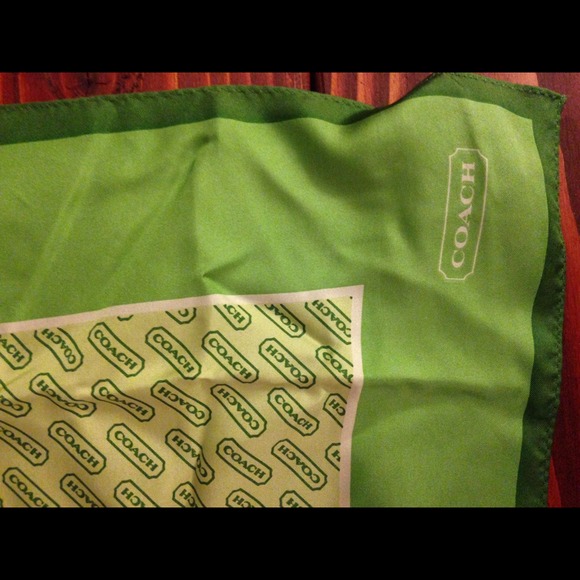 Silk Coach scarf - Picture 3 of 4