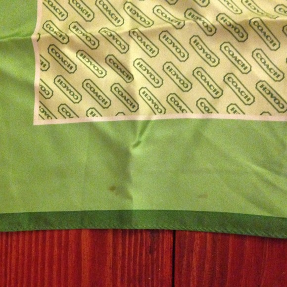 Silk Coach scarf - Picture 4 of 4