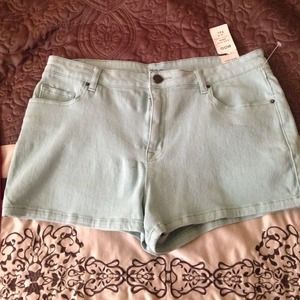 Beautiful Brand New BDG High Rise Shorts