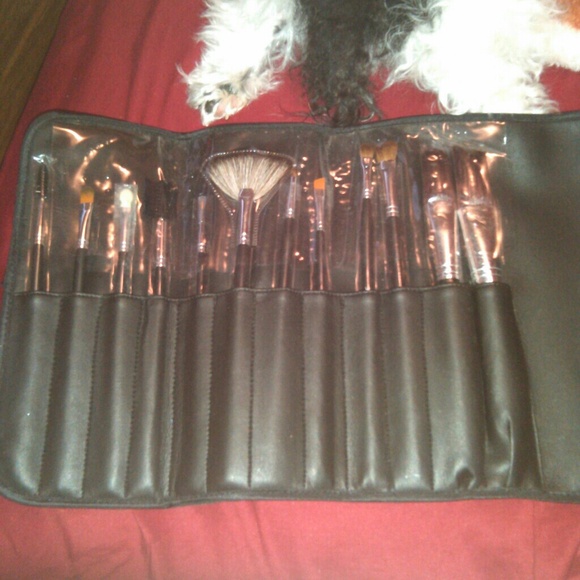 12 piece brush set