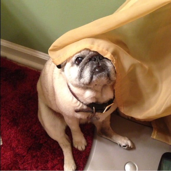 💐 Rest In Peace 💐 - Picture 2 of 4