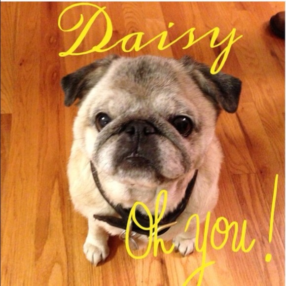 💐 Rest In Peace 💐 - Picture 3 of 4